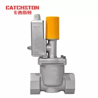 卡西斯顿 防爆电磁阀 常闭螺纹DN20 个