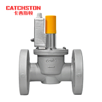 卡西斯顿 防爆电磁阀 常闭法兰DN65 个