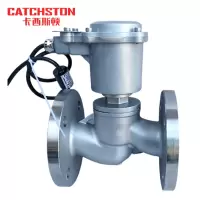 卡西斯顿 蒸汽电磁阀 防爆型DN20 个