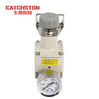 卡西斯顿 精密调压阀 IR2000 个