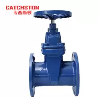 卡西斯顿 球墨铸铁闸阀 DN80 个