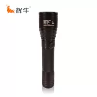 辉牛 袖珍调光工作灯手电筒 HN202C 个