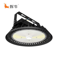 辉牛 LED投光灯 100W 个