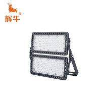 辉牛 模组灯 200W款 个