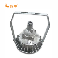 辉牛 防爆泛光灯 HN9845 件