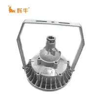 辉牛 防爆泛光灯 HN9845 件