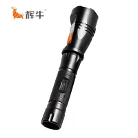 辉牛 摄像手电 HN7119 个