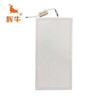 辉牛 屋顶面板灯 48W-300*600mm 个