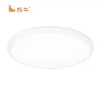 辉牛 LED吸顶灯 HN-D2 件