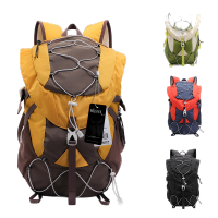 围盛 折叠登山包旅行背包 20L 个