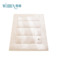 围盛 纯棉软垫 90*200*3cm-3斤白 张