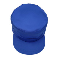 围盛 工作帽车间防尘帽 均码 顶