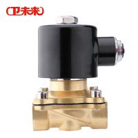 卫未来 黄铜电磁阀 DC12V 个