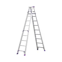 围达 双侧爬楼梯工程梯 2.8米 个