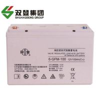 双登铅酸蓄电池6-GFM-200 含配件