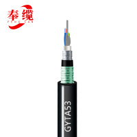 奉缆 通信光缆 GYTA53-48B1/米