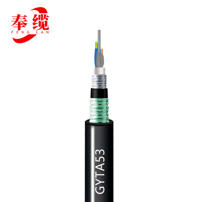 奉缆 通信光缆 GYTA53-48B1/米