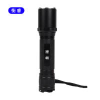 衡睿 应急照明灯手电 HR001K2 个