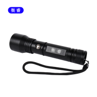 衡睿 HR8106 应急照明灯手电 个