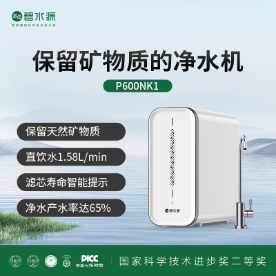 碧水源净水器P600NK1(H膜) 保留天然矿物质 厨下式600加仑纳滤净水器 (型号:OW-DF-48A)