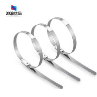 沁渝优品 不锈钢扎带 4.6*2000mm 根