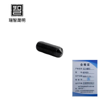 瑞智晟明(RZSM)压力螺钉 M3*825