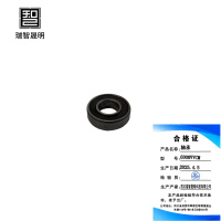 瑞智晟明(RZSM)轴承6900VVCM