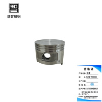 瑞智晟明(RZSM)活塞RZSM-FDJ200