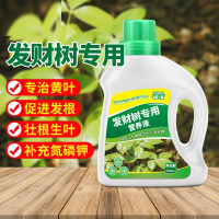 发财树营养液专用肥花肥料盆栽植物金钱树土水培通用种植养花土壤