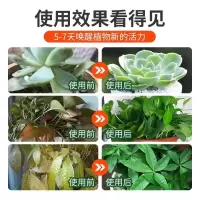 免稀释营养液植物通用型肥料室内盆栽发财树绿萝养花喷洒发黄烂根