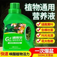 浓缩植物营养液花肥通用型家用绿植盆栽绿萝富贵竹发财树肥料绿箩