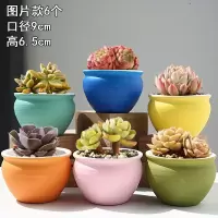 [补贴10%]多肉花盆陶瓷特价清仓透气创意肉肉植物大多肉花盆套装组合