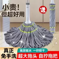 拖把2024新款家用免手洗老式自拧水一拖地净自拖布地拖棉墩布替换