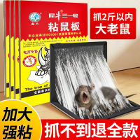 15张老鼠贴强力粘鼠板捕鼠神器抓大老鼠扑捉器家用鼠笼夹子超强胶