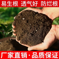 营养土养花种菜专用土多肉盆栽通用型种植土土壤花土肥料发酵种花