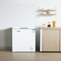 美菱(MELING) 卧式冷柜 BC/BD-100DTS 100升 小型一级能效家用商用小冰柜 迷你冷藏柜顶开门