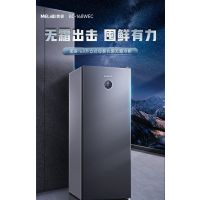 美菱(MELING) 立式冰柜 BD-168WEC 风冷无霜 一级节能大容量 小型冷柜 白/灰