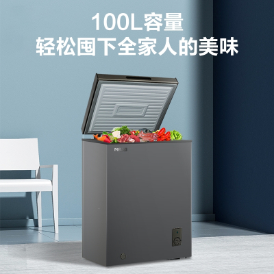 美菱(MEILING) 卧式冷柜 BCBD-100DTCX 家用小型 减霜冷藏冷冻冷柜