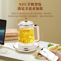 荣事达（Royalstar） YSH1592 养生壶