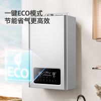 长虹（CHANGHONG）燃气壁挂炉家用热气热水器L1PB20-C1