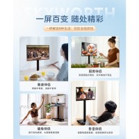 创维电视机 43A4FD