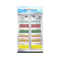 穗凌 LG4-1100LW,750升,商用展示冰柜水果保鲜双门玻璃门陈列柜立式饮料风冷冷柜[开专票提供69码]