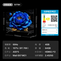 TCL 50T8H 电视