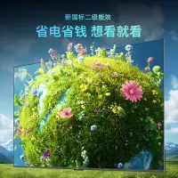 创维彩电43GT3