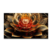 创维电视机 75H8F