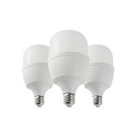 晫安联 ZX2111C AC220V 30W 6500K 螺口式 E27 LED 工业级节能灯泡 12.00个/箱