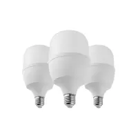 晫安联 ZX2111C AC220V 30W 6500K 螺口式 E27 LED 工业级节能灯泡 12.00个/箱