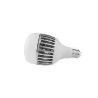 晫安联 ZX2101D AC220V 36W 6500K 螺口式 E27 LED 工业级节能灯泡 ( 计价单位:个)