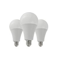 晫安联 ZX2111B AC220V 24W 6500K 螺口式 E27 LED 工业级节能灯泡 12.00个/箱