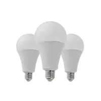 晫安联 ZX2111B AC220V 24W 6500K 螺口式 E27 LED 工业级节能灯泡 12.00个/箱